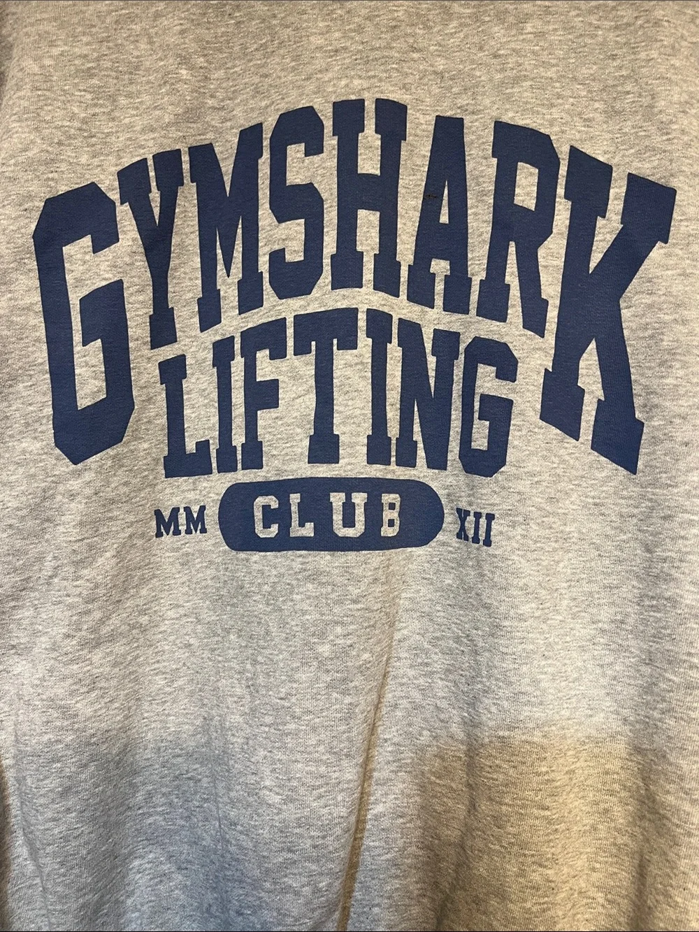 Gymshark Oversized Gray & Blue Crewneck Sweatshirt Large - Picture 2 of 8